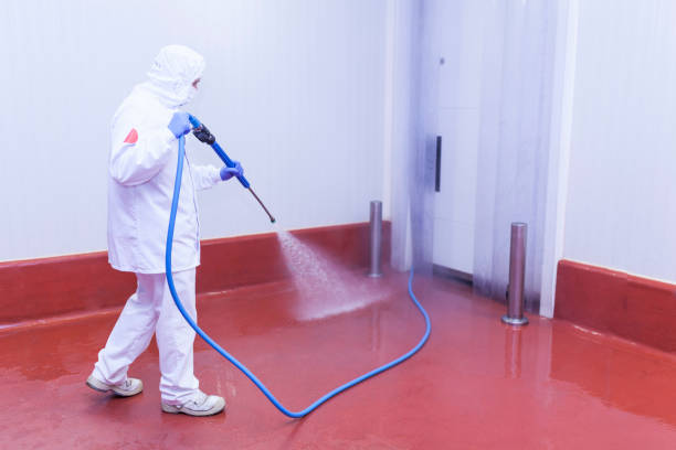 Best House Exterior Washing  in Mountainair, NM
